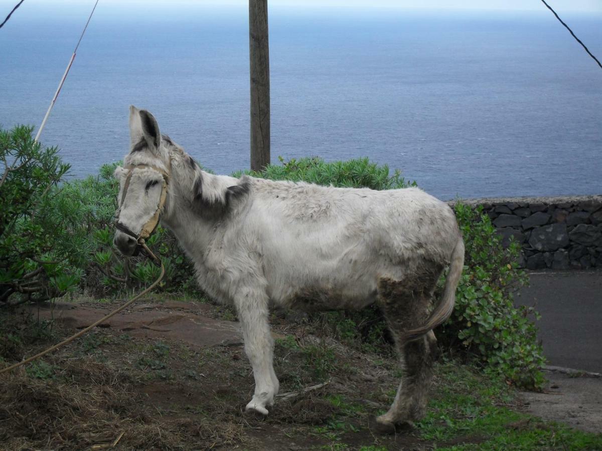 Casa Rural Arguamul Vallehermoso Bagian luar foto